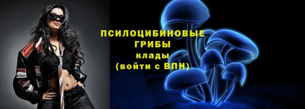 твердый Алзамай