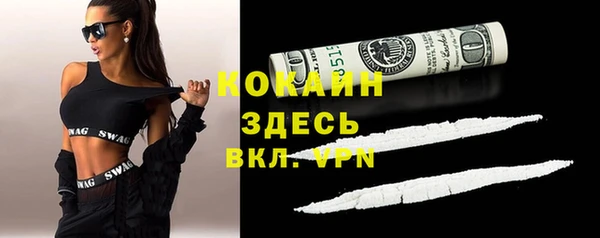 молекула духа Алексин