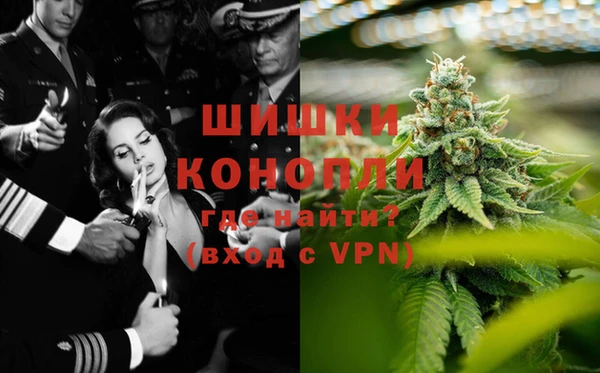 твердый Алзамай