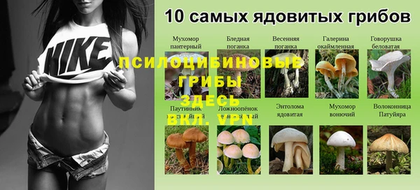 соль курить ск Алексеевка