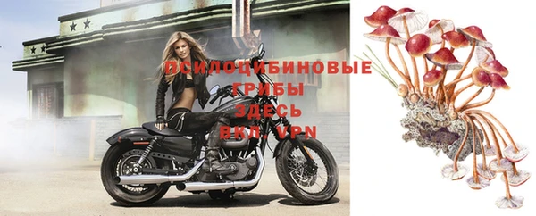 соль курить ск Алексеевка